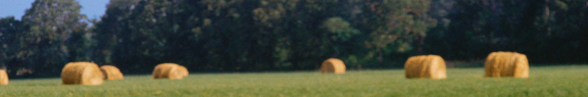 Hay Bales